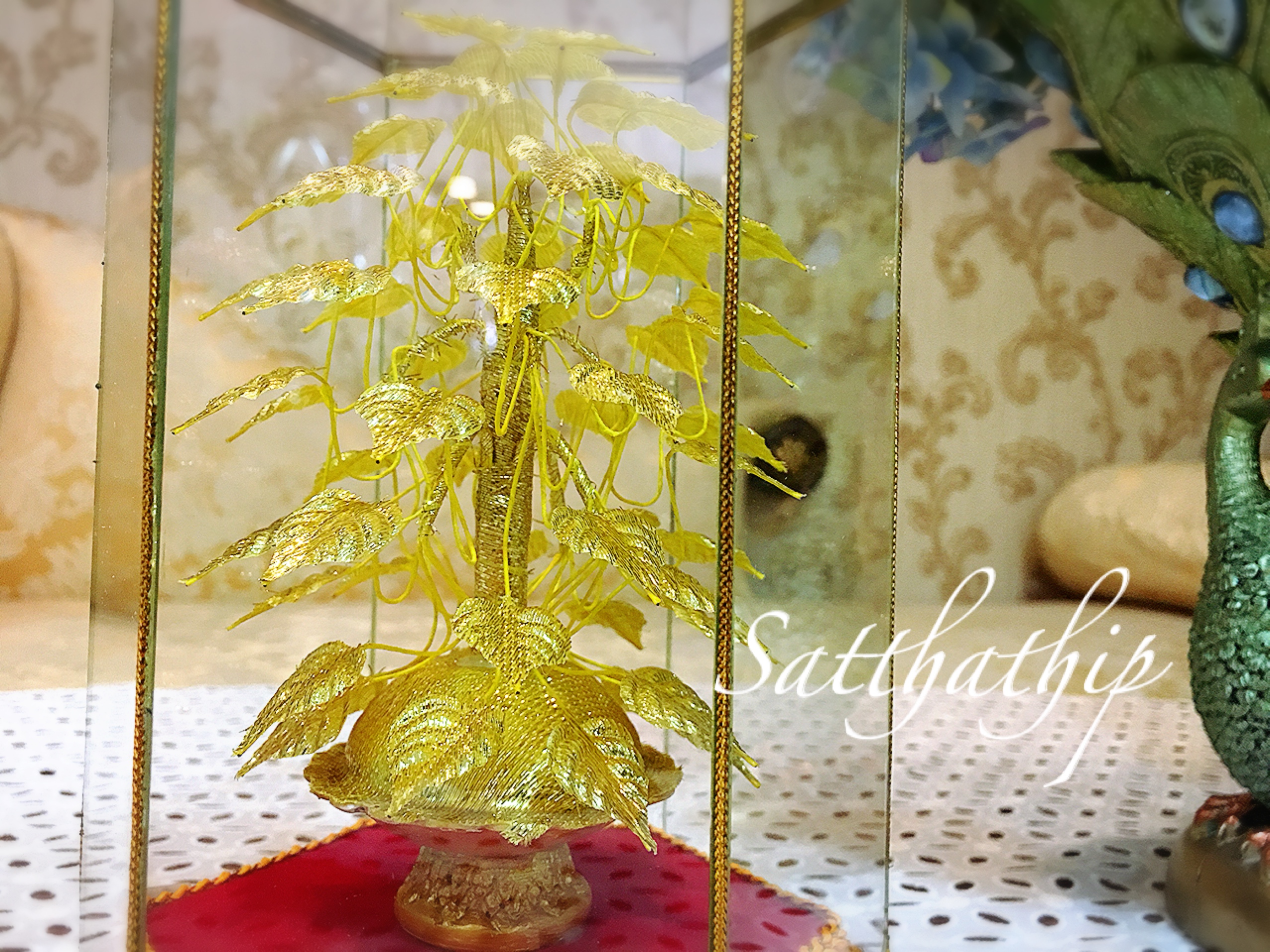 ต้นโพธิ์เงิน โพธิ์ทอง