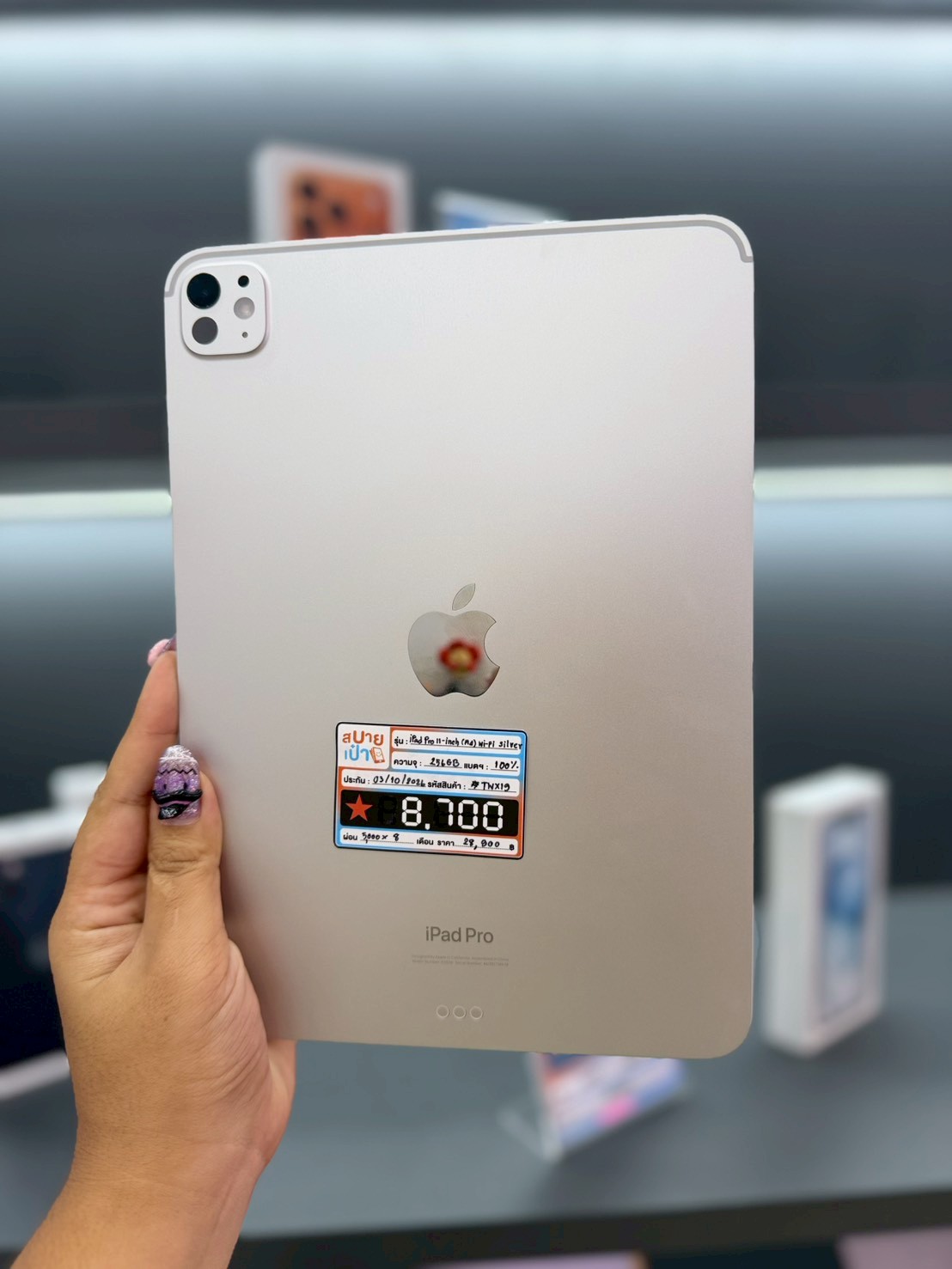 iPad Pro 11-inch (M4) 256GB Wi-Fi Silver