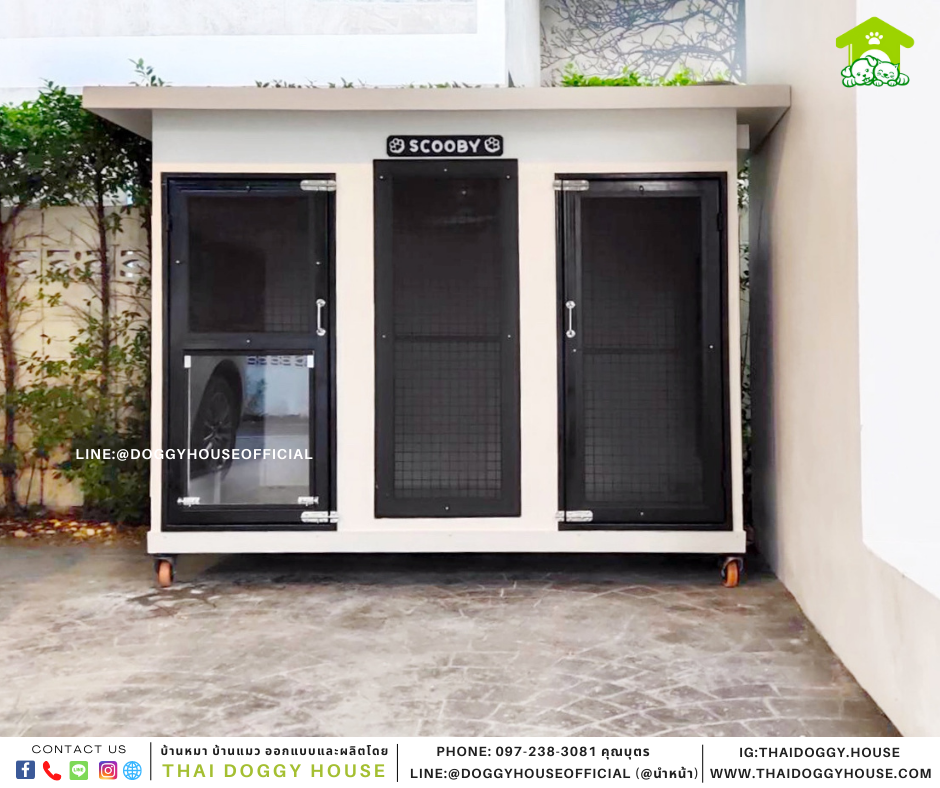 บ้านหมา 2 ประตู Box style