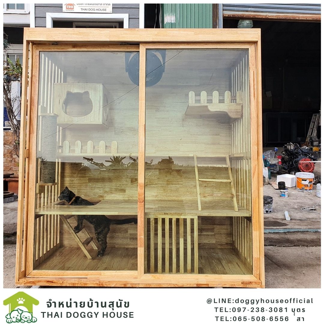 บ้านแมว สไตล์มินิมอล