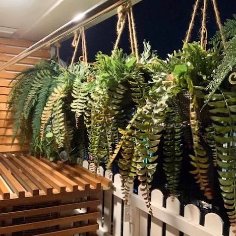 Waterford Park Thonglor 5