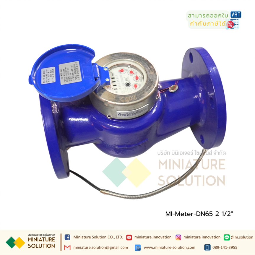 มิเตอร์วัดการใช้น้ำ RS485 Water Flow Meter RS485 MODBUS output DN40 1 1/2"/ DN65 2 ½"/ DN80 3"/ DN125 5"/DN150 6"/DN200 8"