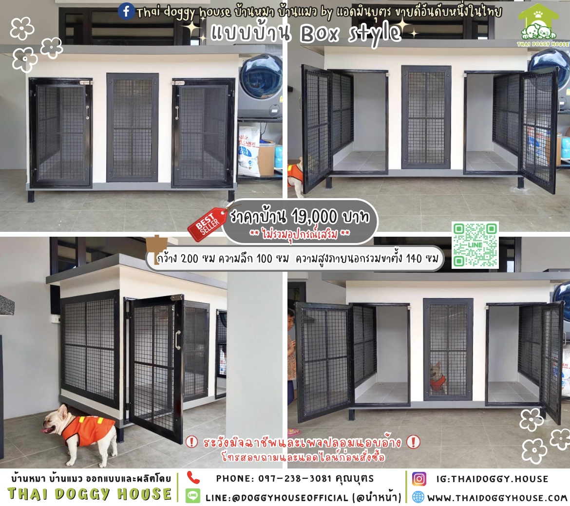 🏡บ้านหมา บ้านแมว 𝟐 ประตู แบบบ้าน 𝐁𝐨𝐱 𝐬𝐭𝐲𝐥𝐞 🐶🐱