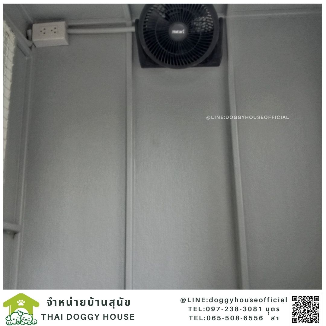 บ้านหมา