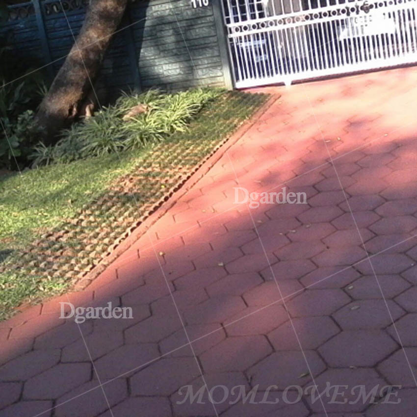 แม่พิมพ์ทางเดิน ลายรังผึ้ง D5