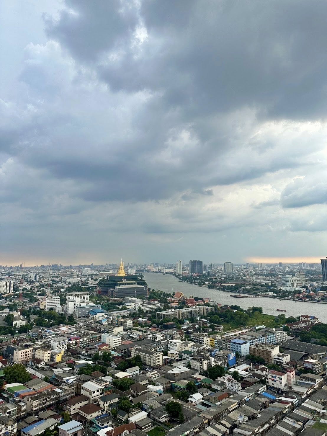 The Tree Interchange