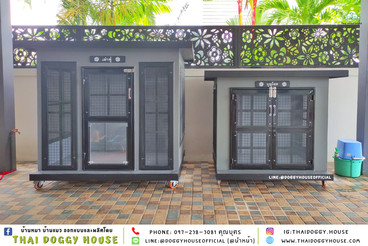 บ้านหมา แบบบ้าน 𝐁𝐎𝐗 𝐒𝐓𝐘𝐋𝐄