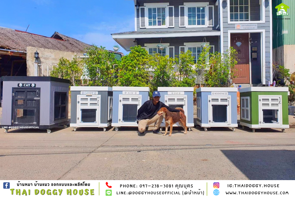 🏡บ้านหมา ติดพัดลม มุ้งลวด+ตะแกรงเหล็ก ทรง 𝐁𝐎𝐗 ✨