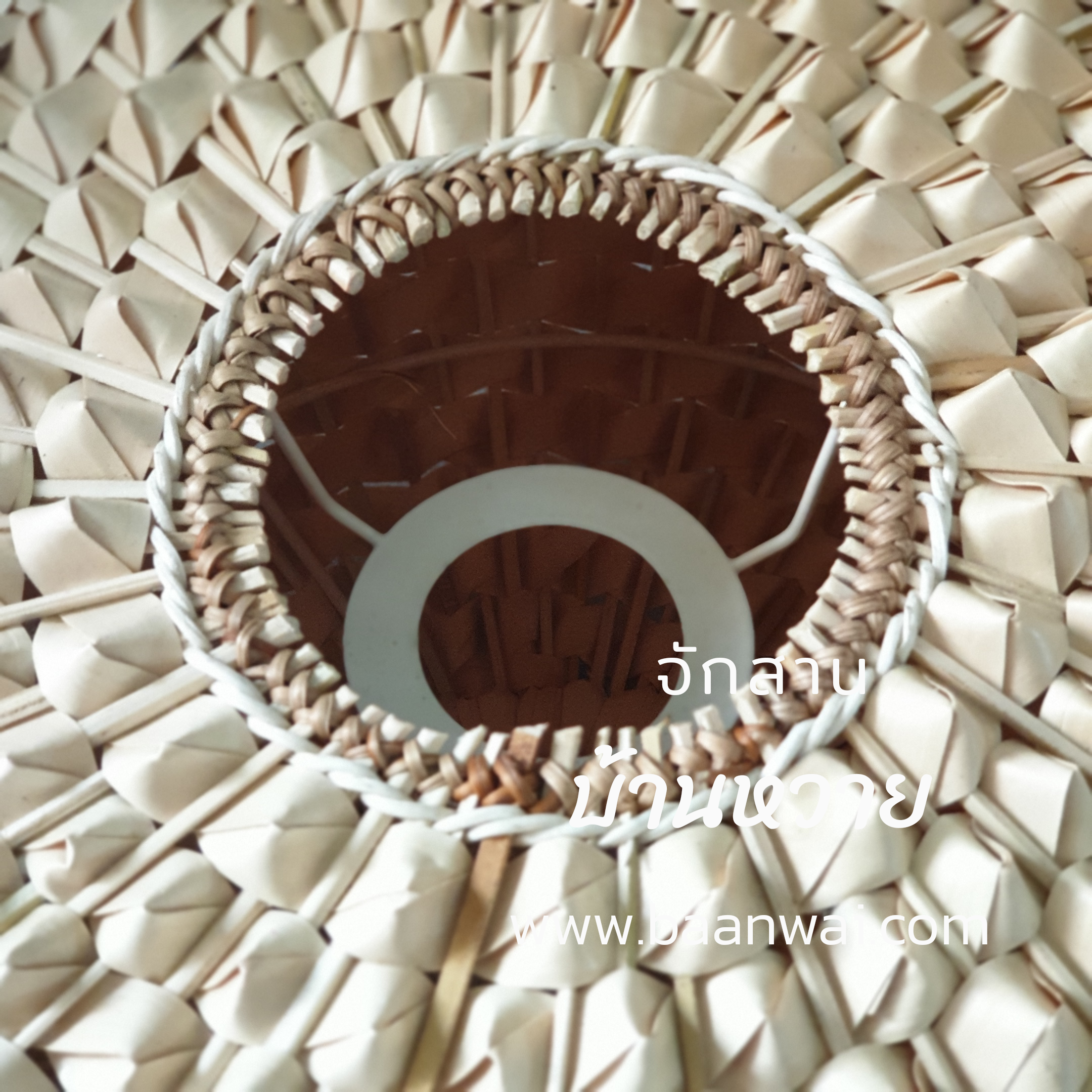 โคมไฟทุเรียน