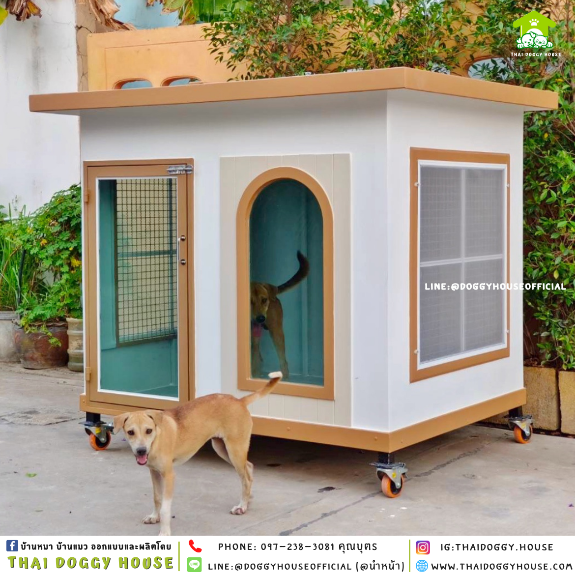 บ้านหมา แบบบ้าน 𝑩𝑶𝑿 𝑺𝑻𝒀𝒍𝑬