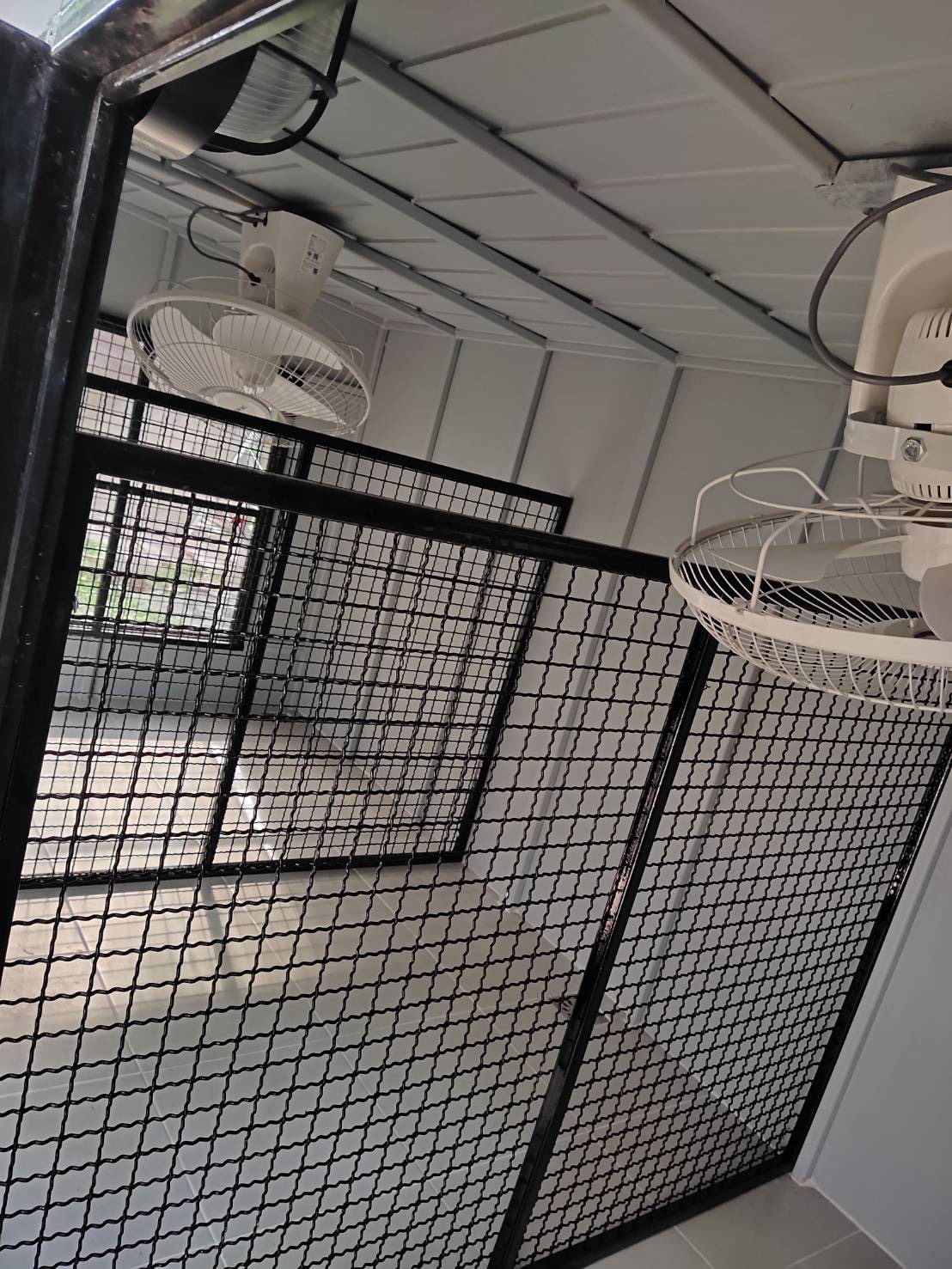 บ้านหมา