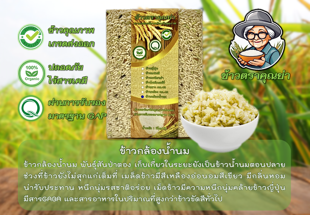 ข้าวกล้องน้ำนมออร์แกนิค เกรดส่งออก