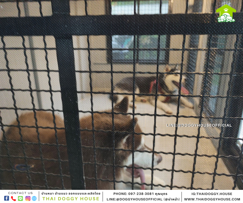 บ้านหมา แบบบ้าน 𝑵𝒐𝒓𝒅𝒊𝒄 𝒔𝒕𝒚𝒍𝒆