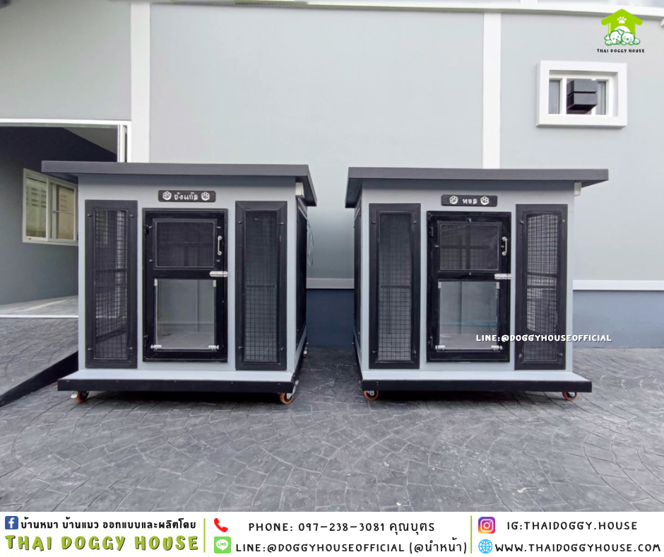 บ้านหมา แบบบ้าน BOX STYLE