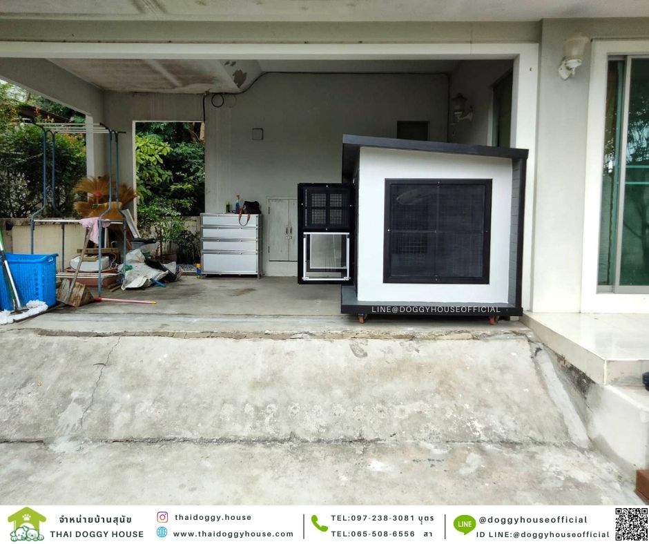 บ้านหมา