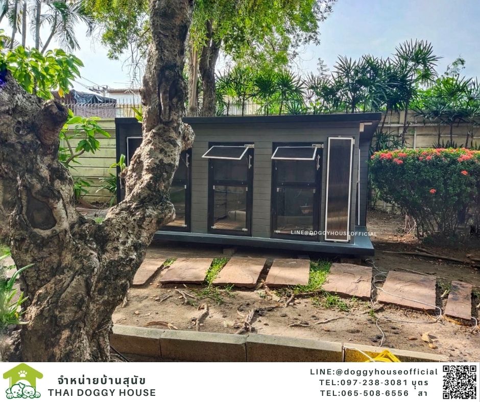 บ้านหมา