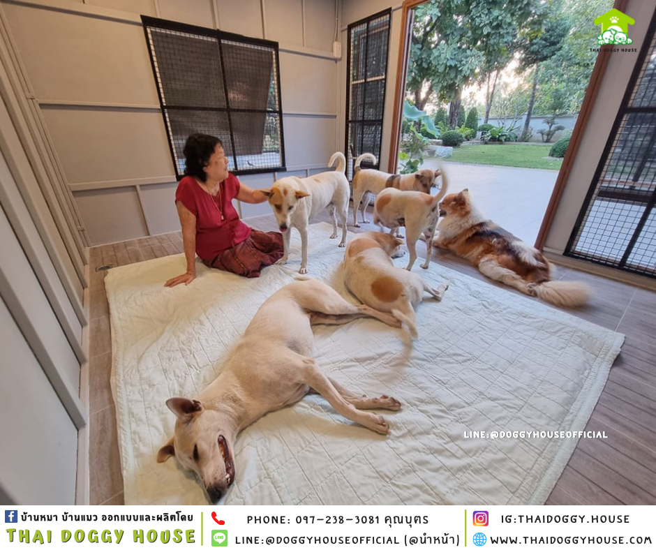 บ้านหมา แบบบ้าน BOX STYLE