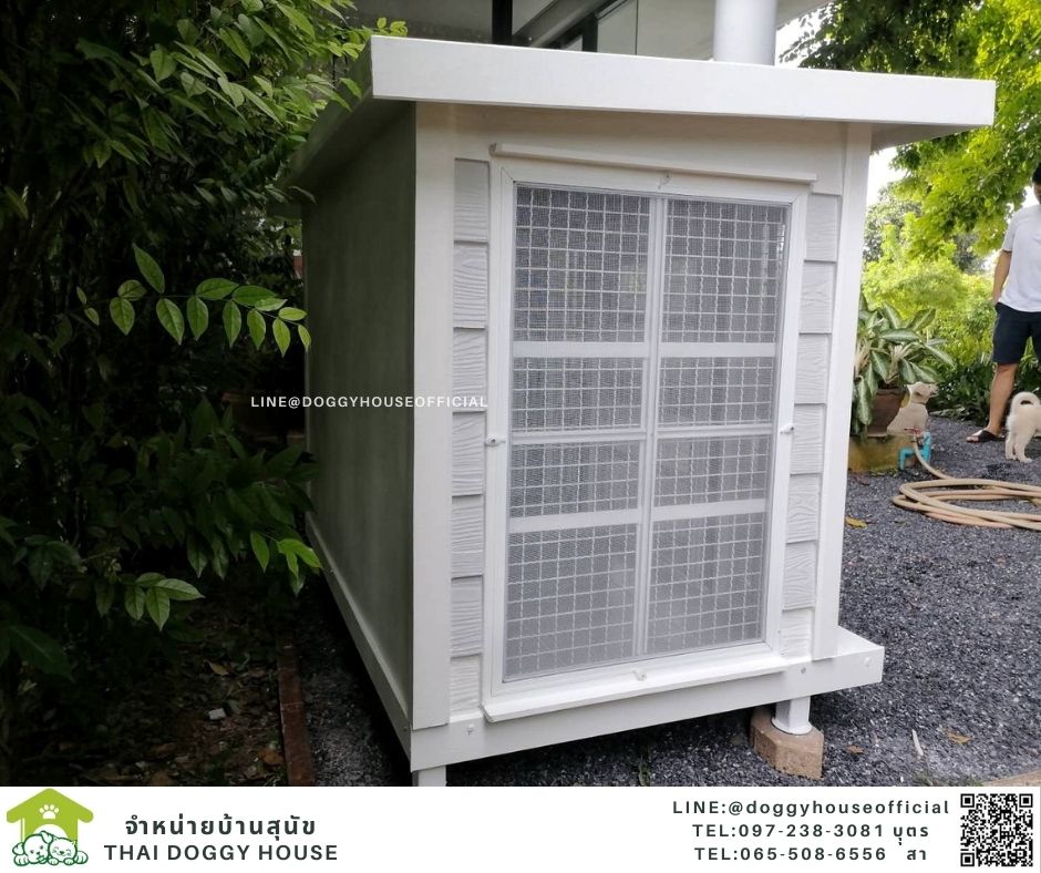 บ้านหมา