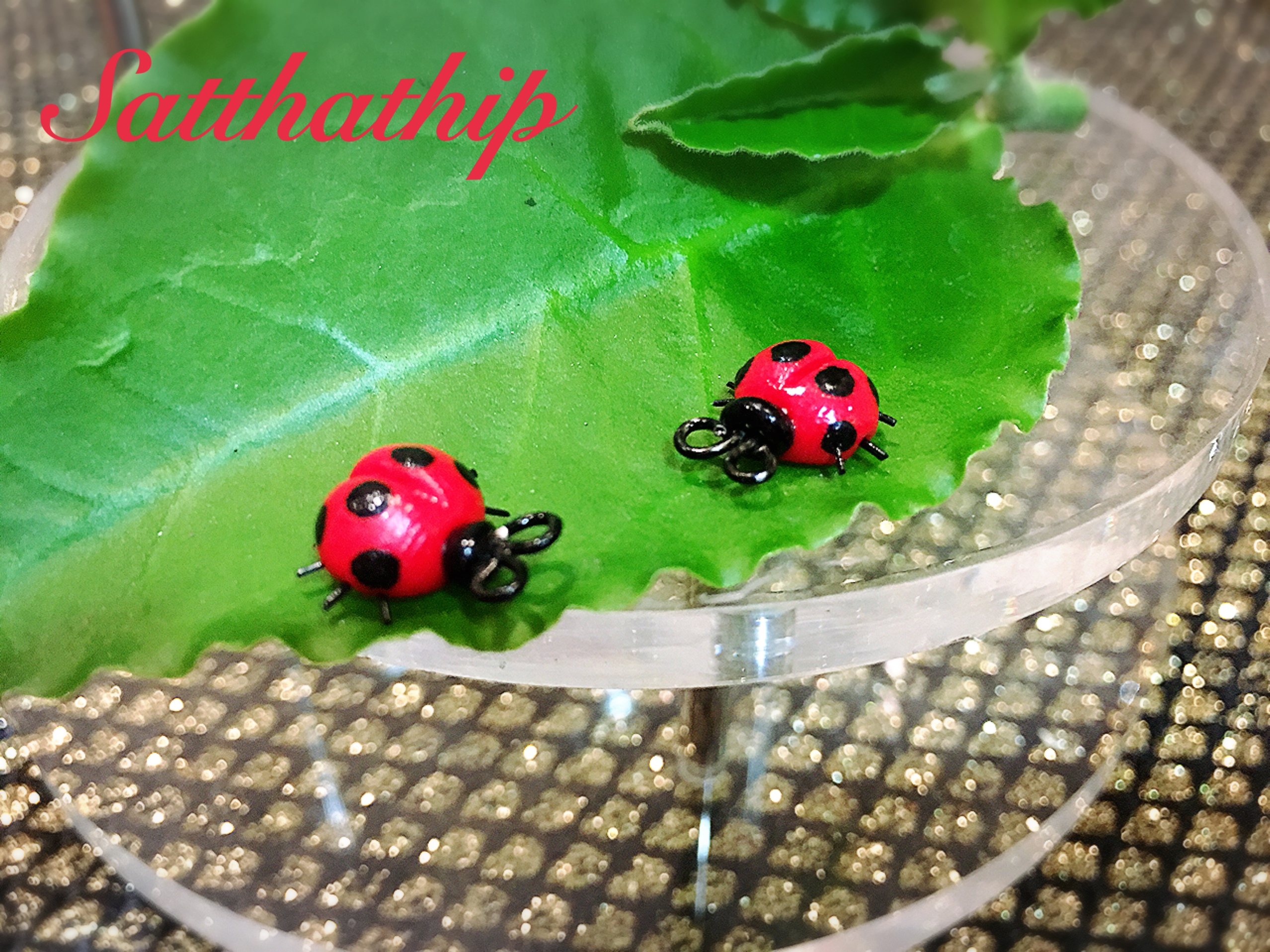 เต่าทอง - โมเดลเต่าทอง - เต่าทองดินปั้น - โมเดลสัตว์ - โมเดลสัตว์เลี้ยง - ตุ๊กตาสัตว์ดินปั้น - Animal model