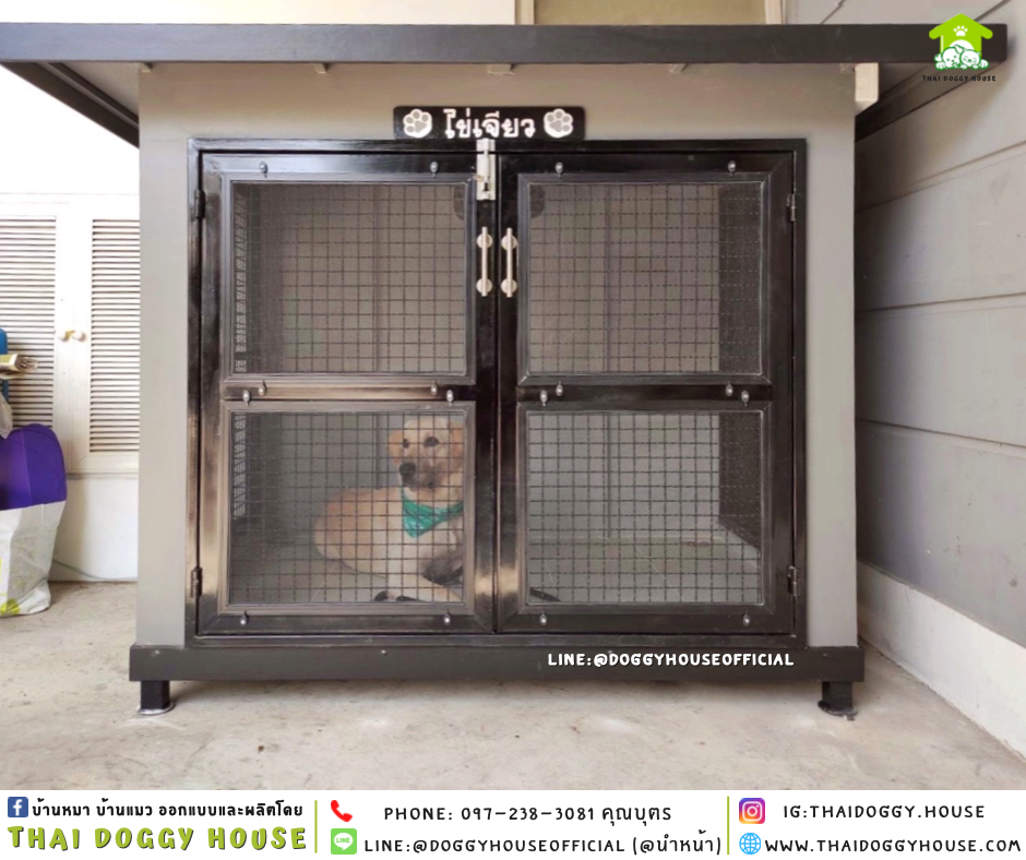 บ้านหมา 𝐁𝐨𝐱 𝐬𝐭𝐲𝐥𝐞
