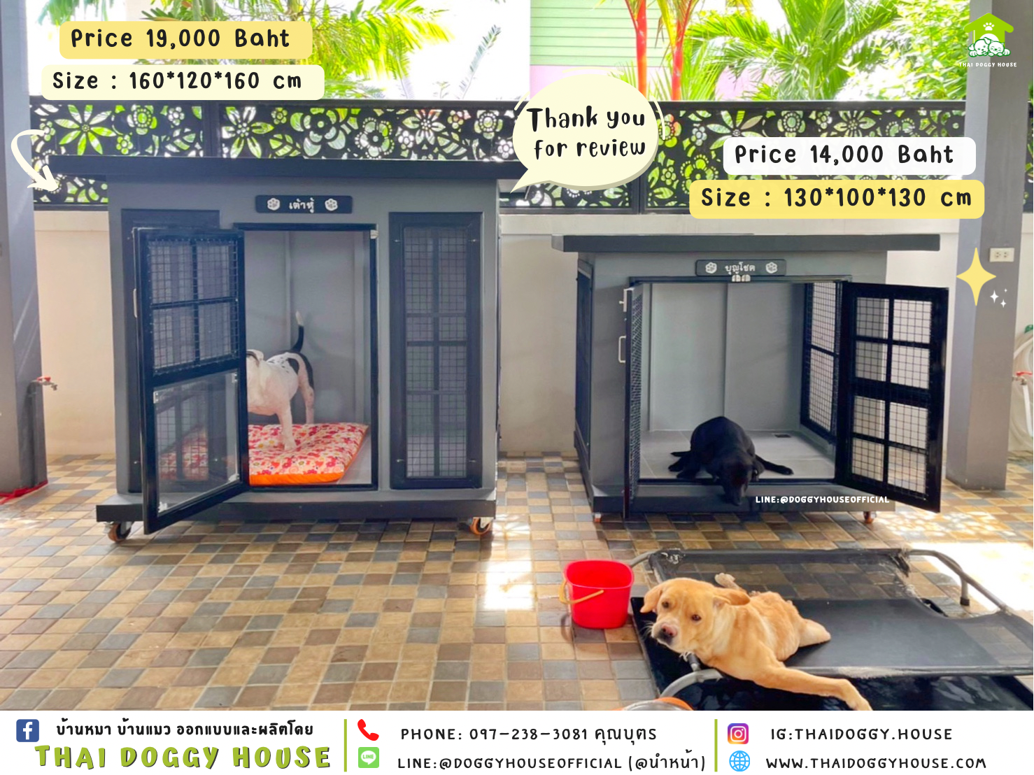 บ้านหมา แบบบ้าน 𝐁𝐎𝐗 𝐒𝐓𝐘𝐋𝐄