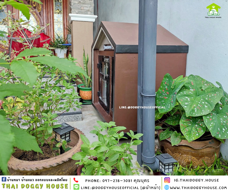 บ้านหมา รองรับการติดแอร์ 𝐍𝐨𝐫𝐝𝐢𝐜 𝐬𝐭𝐲𝐥𝐞
