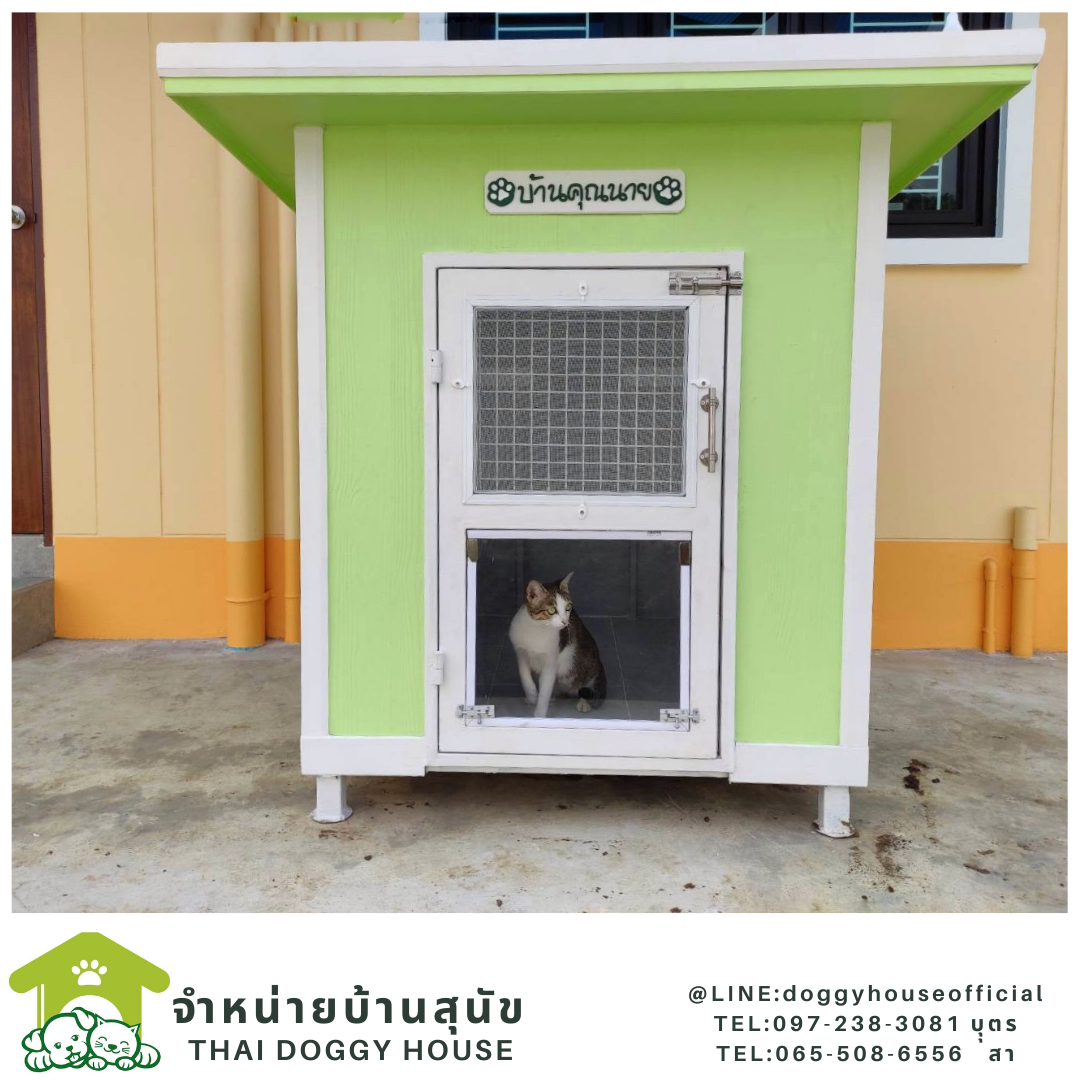 บ้านแมว