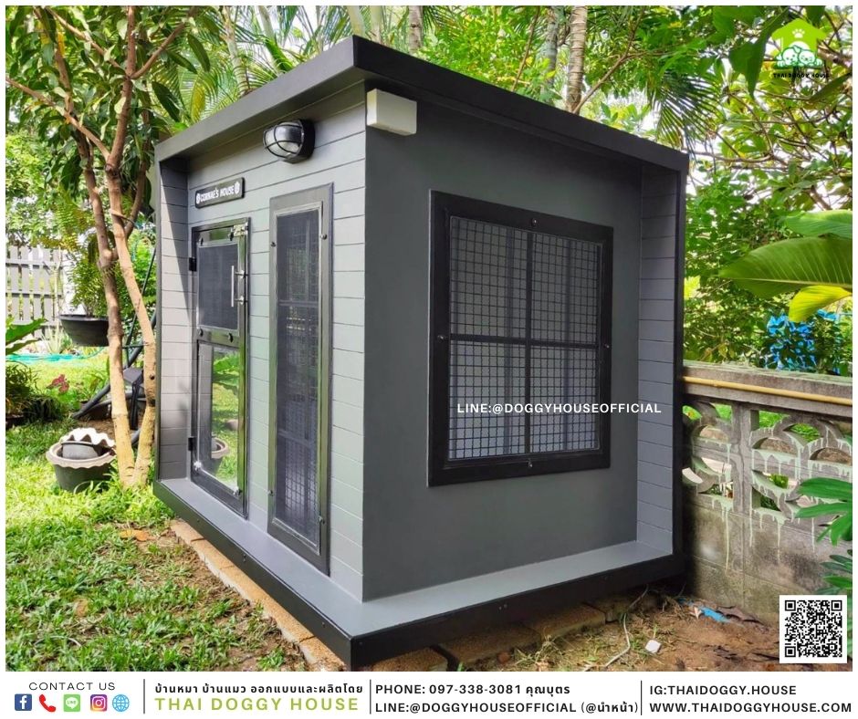 บ้านหมา Box style