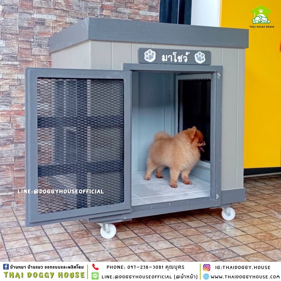 บ้านหมา ทรง 𝐁𝐨𝐱