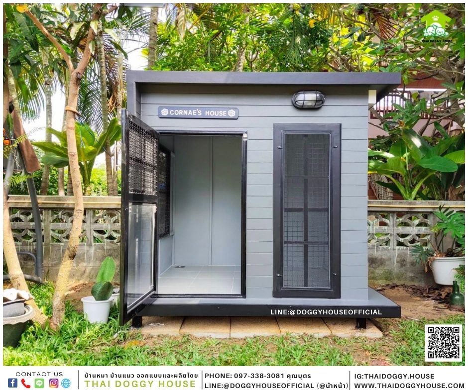 บ้านหมา Box style