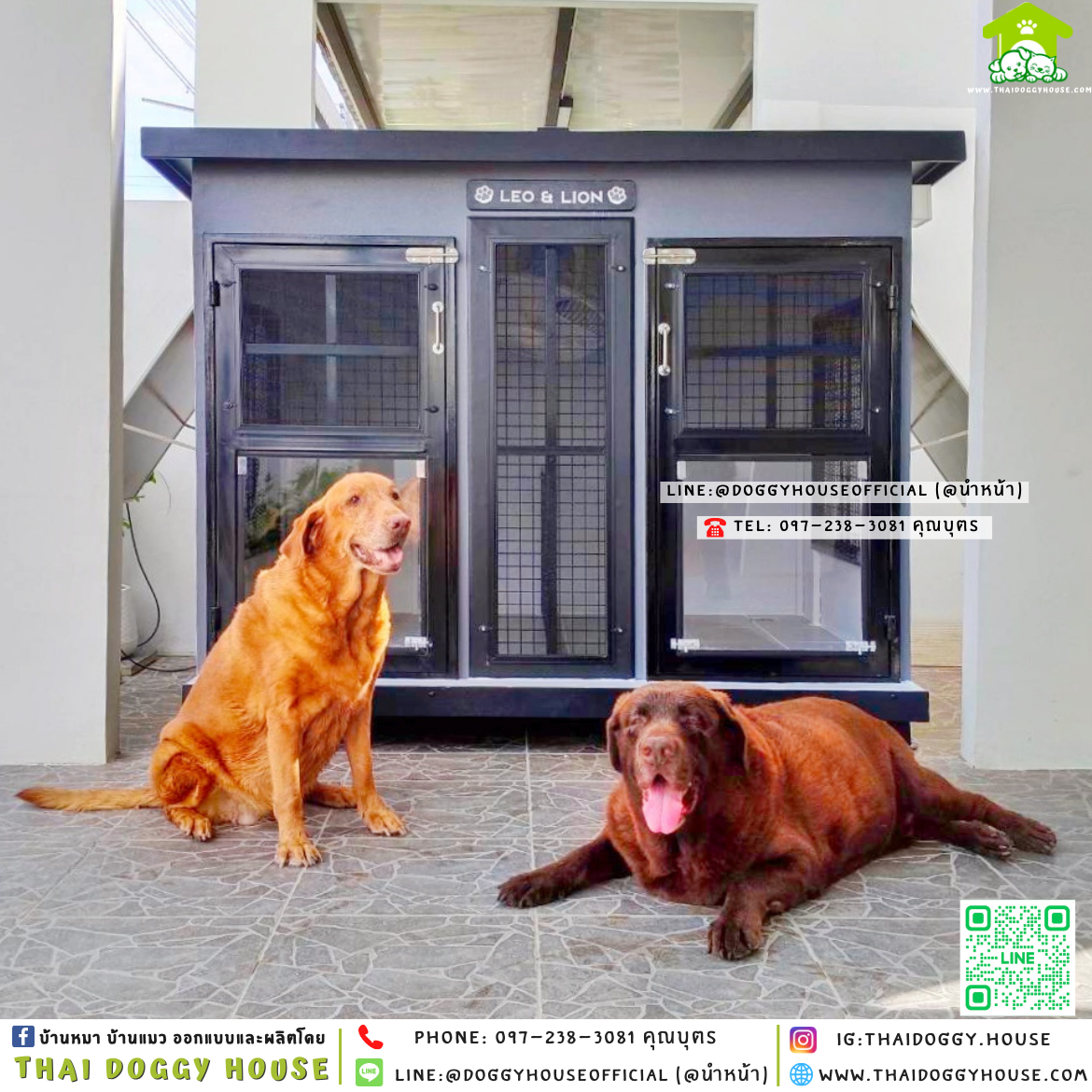 🏡บ้านหมา แบ่ง 𝟐 ห้อง แบบบ้าน 𝐁𝐨𝐱 𝐒𝐭𝐲𝐥𝐞 🦮