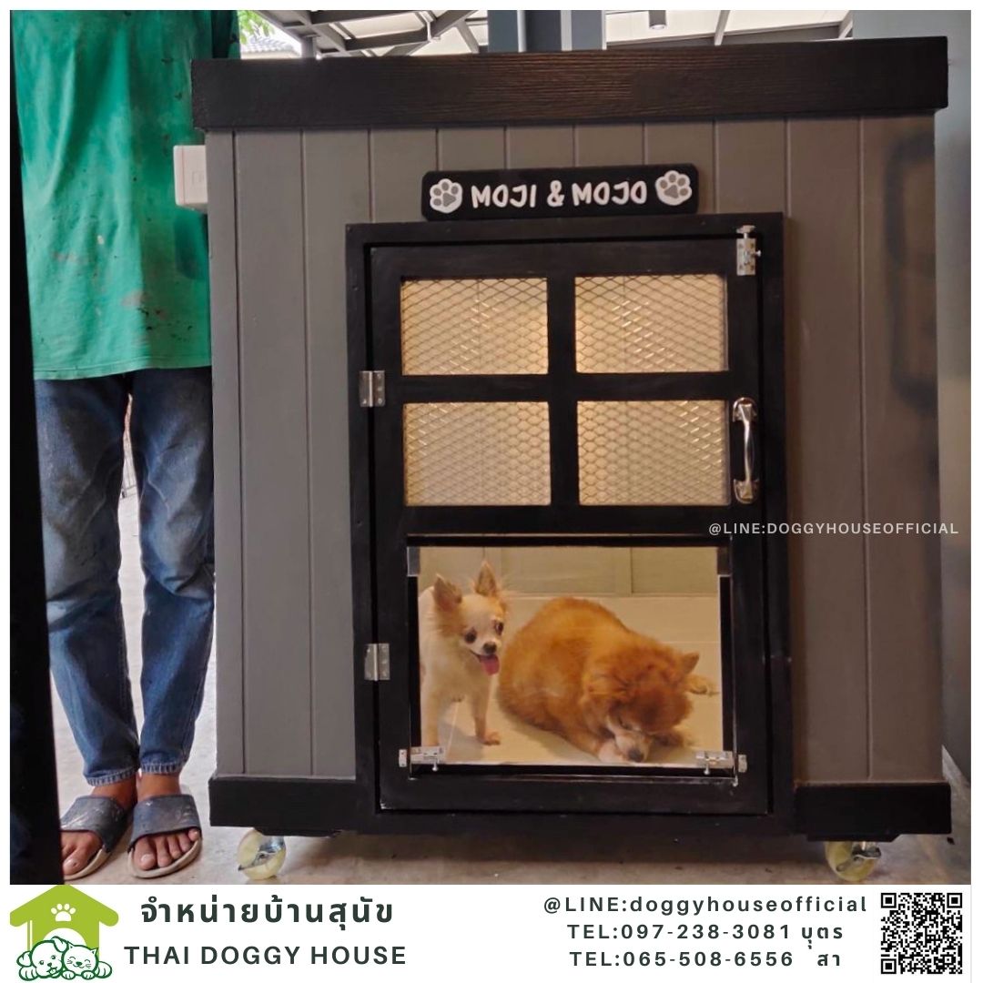 บ้านหมาทรงBOX
