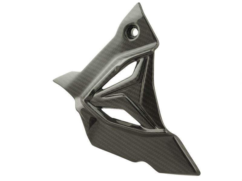 Carbon World - ครอบสเตอร์หน้า (Sprocket cover Carbon) สำหรับ S1000RR 2020+