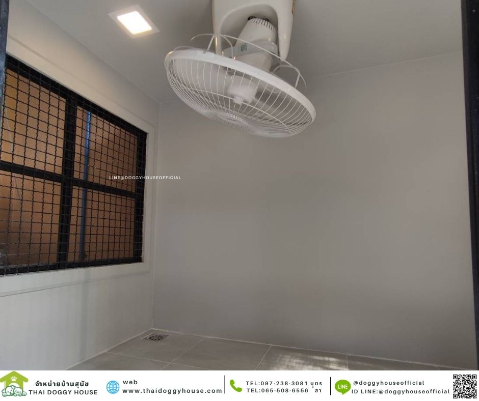 บ้านหมา