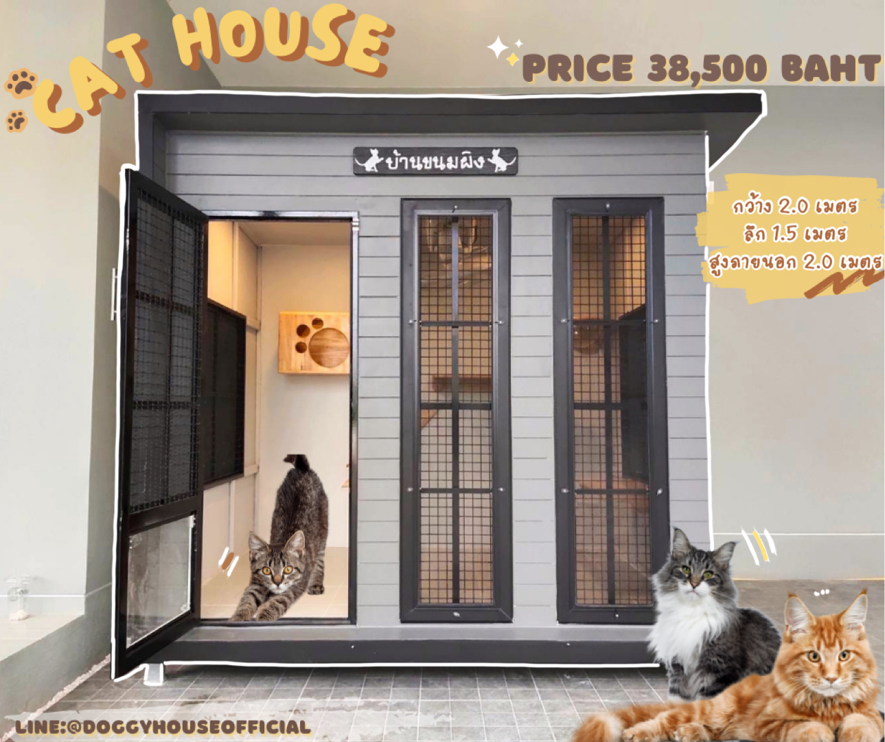 บ้านแมว แบบบ้าน Box Style