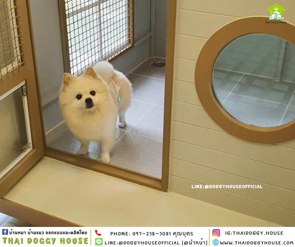 บ้านหมา แบบบ้าน 𝐍𝐨𝐫𝐝𝐢𝐜 𝐬𝐭𝐲𝐥𝐞