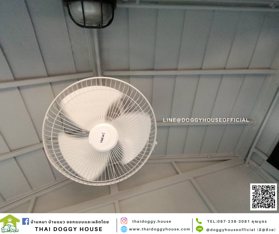 บ้านหมา ทรงจั่ว