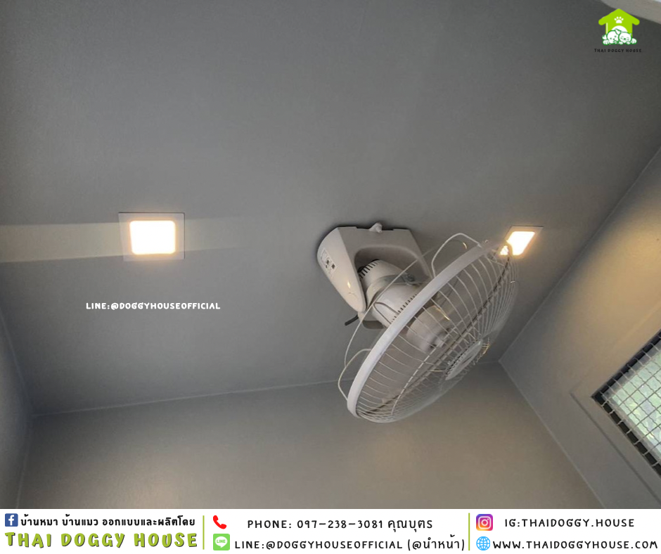 บ้านหมา แบบบ้าน 𝑩𝑶𝑿 𝑺𝑻𝒀𝑳𝑬