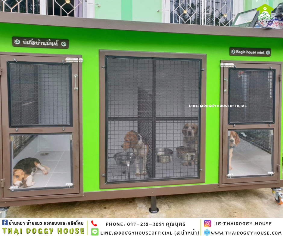 บ้านหมา แบ่ง 𝟐 ห้อง แบบบ้าน 𝐁𝐎𝐗 𝐒𝐓𝐘𝐋𝐄