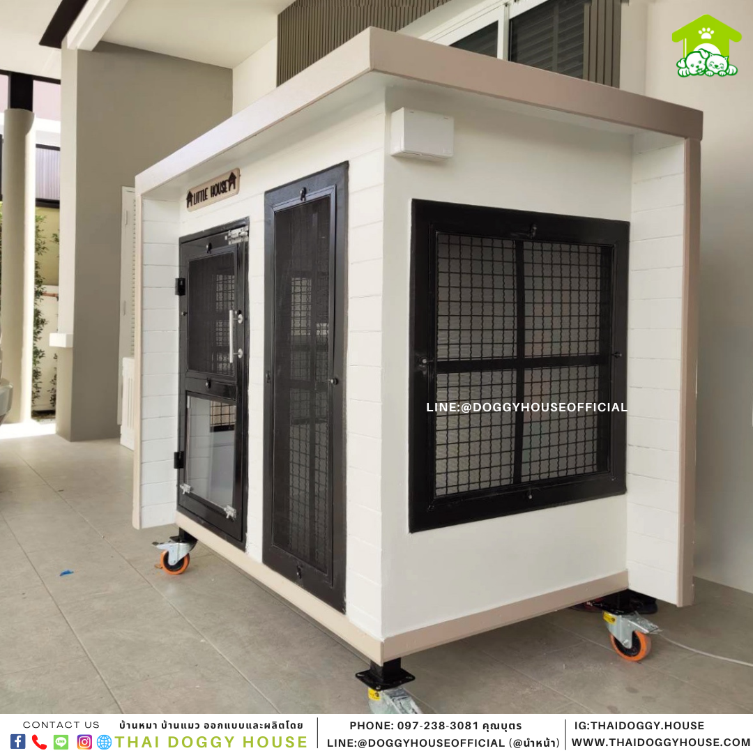 บ้านหมา Box style