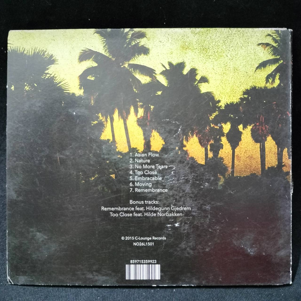 Ingolv Haaland – ASEAN Flow / แผ่นดี