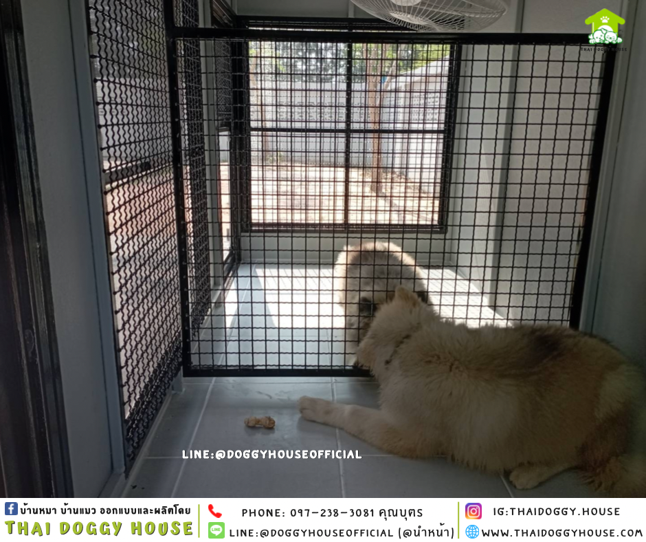 บ้านหมา แบบบ้าน 𝑩𝑶𝑿 𝑺𝑻𝒀𝑳𝑬