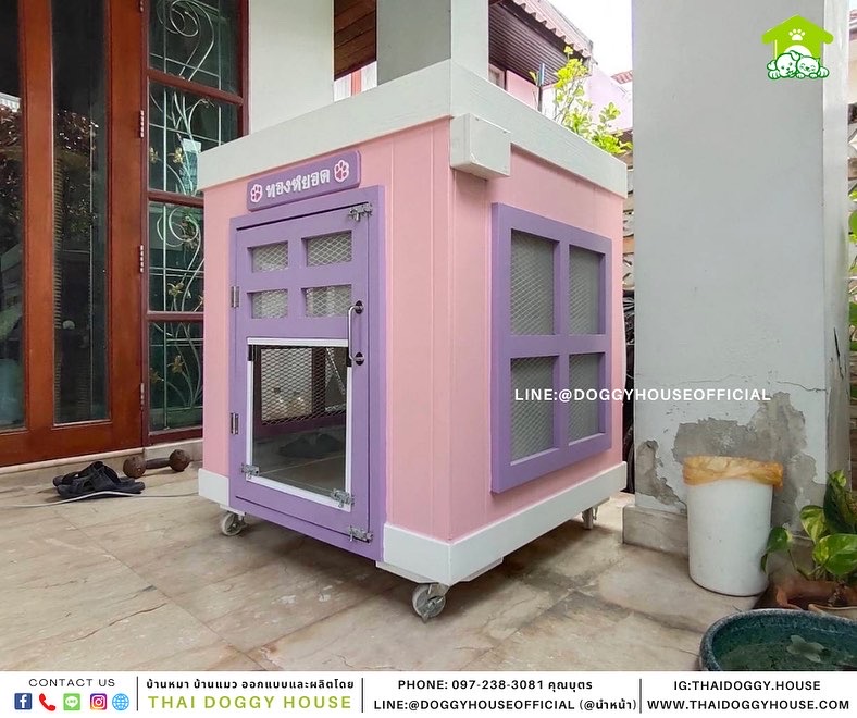 บ้านแมว ทรง BOX