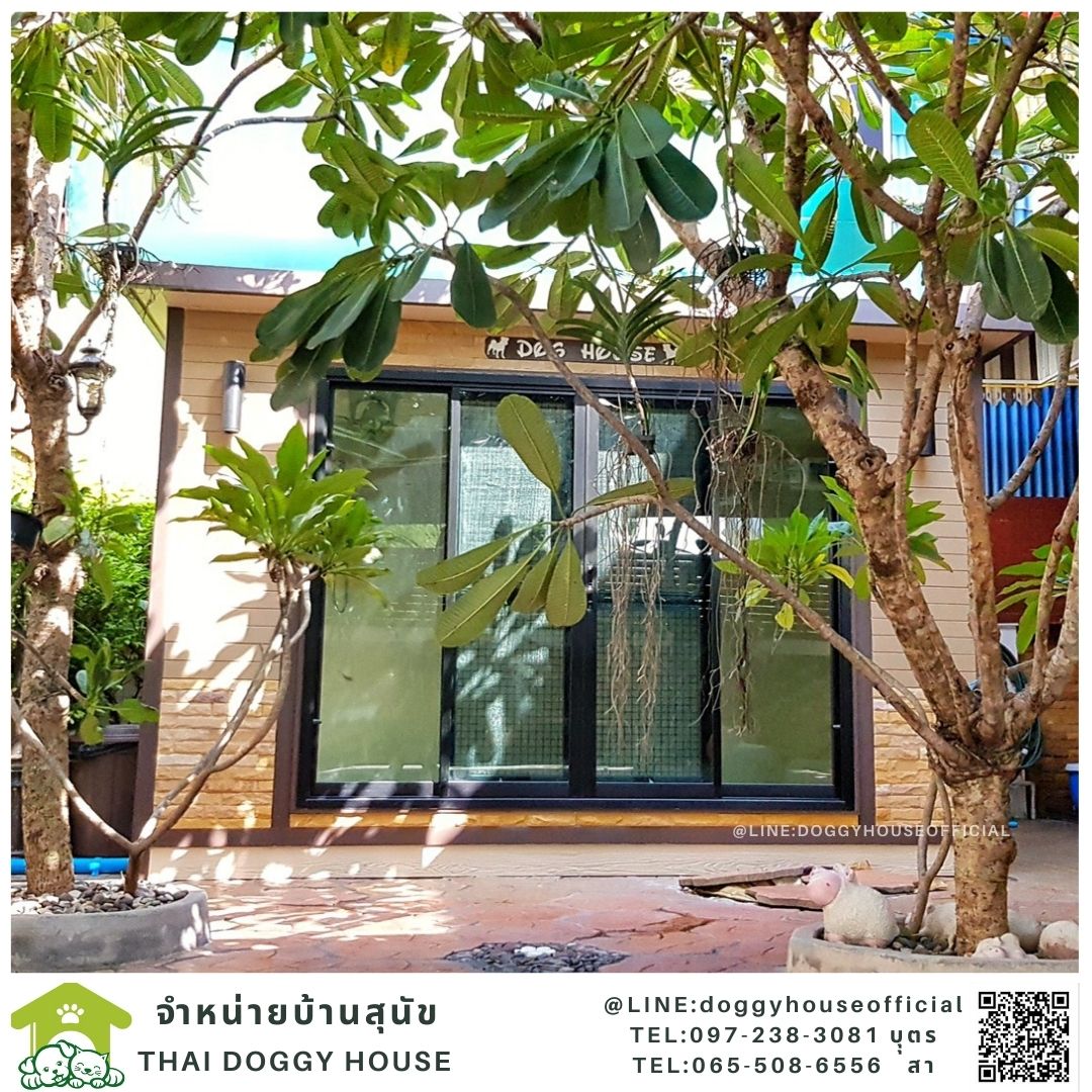 บ้านหมา รองรับการติดแอร์