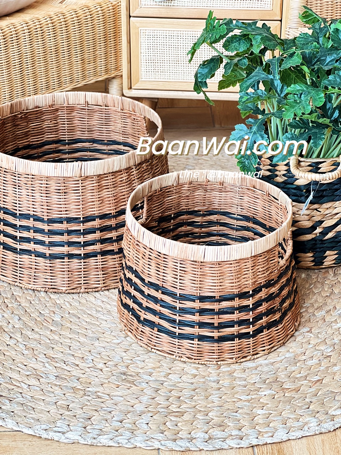 ตะกร้าหวายช็อคโก้ ตะกร้าหวายวางผลไม้ ตะกร้าหวายโครงเหล็ก ตะกร้าผ้า ตะกร้าต้นไม้