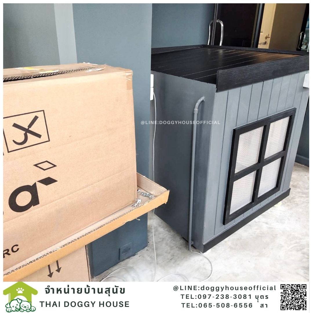 บ้านหมาทรงBOX