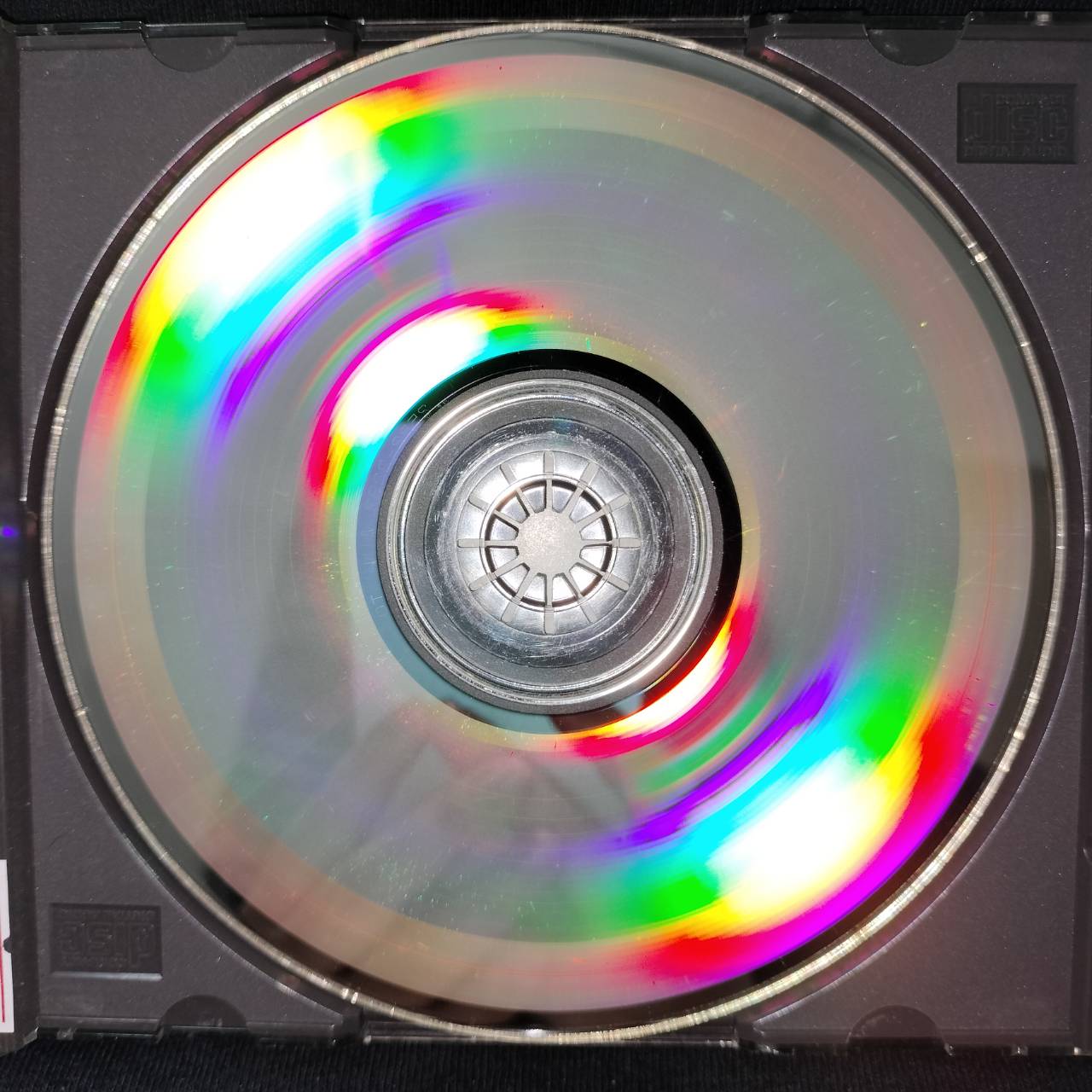 Randy Newman – Land Of Dreams / JAPAN / แผ่นดี