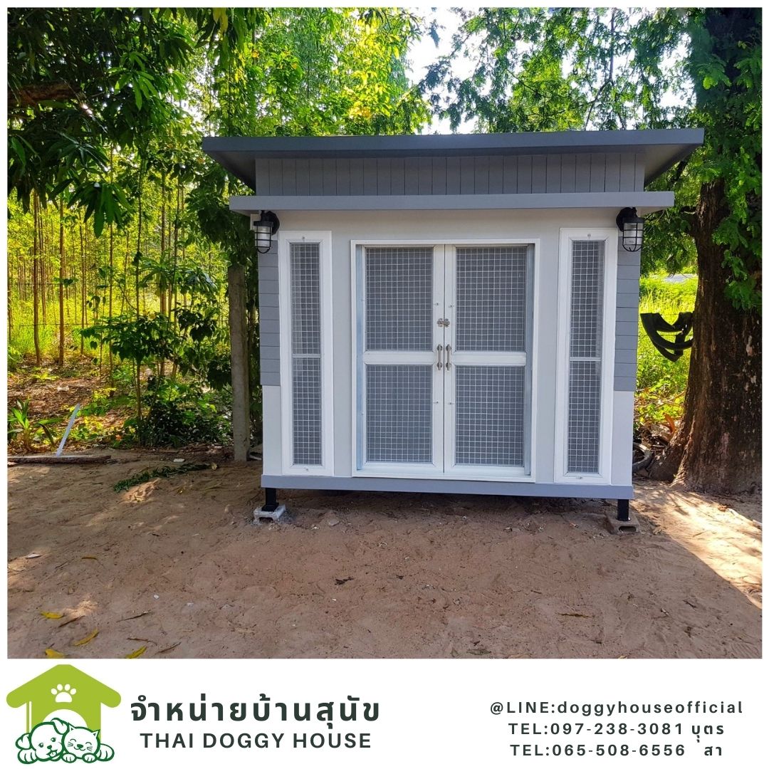 บ้านหมา