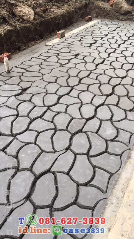 แม่พิมพ์ทางเดิน ลายตัวหนอน ขนาด60x50cm D8