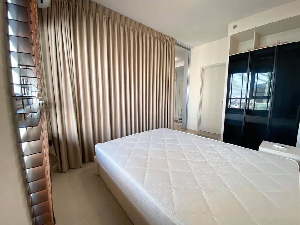 Chapter One Shine Bangpo